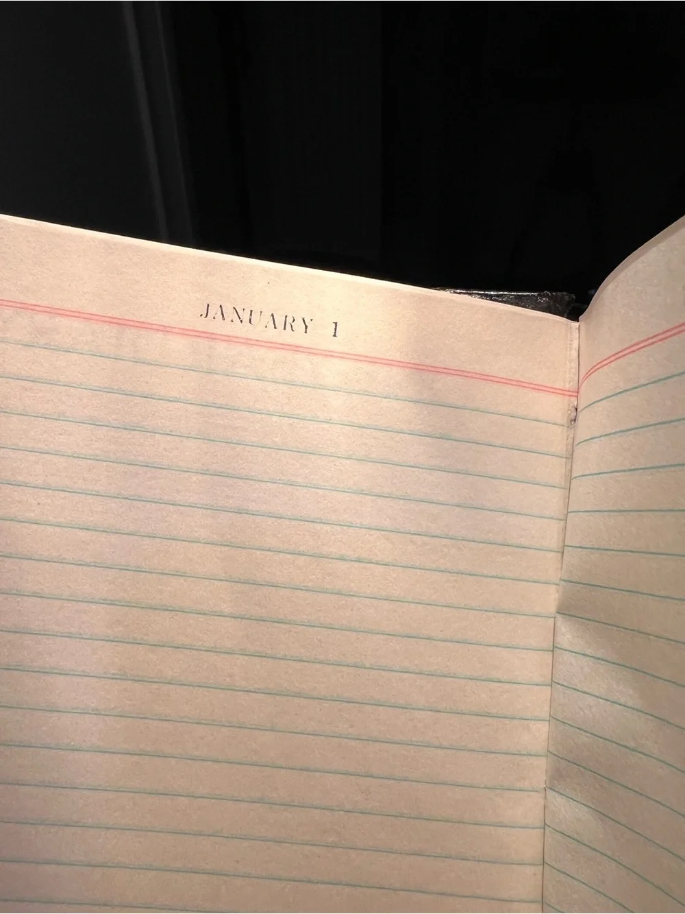Antique One Year Diary Like new, read below